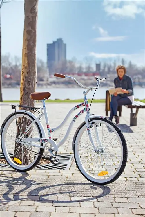 Велосипед с рисунком Kalocsa крутой или милый?