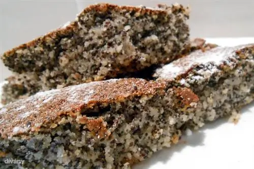 Кружка с маком, яблоком и изюмом