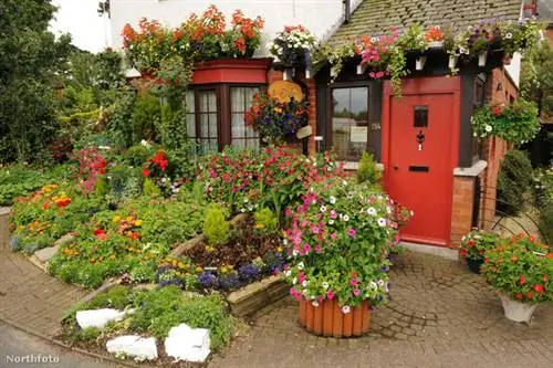 tk3s нти гарри кук 016