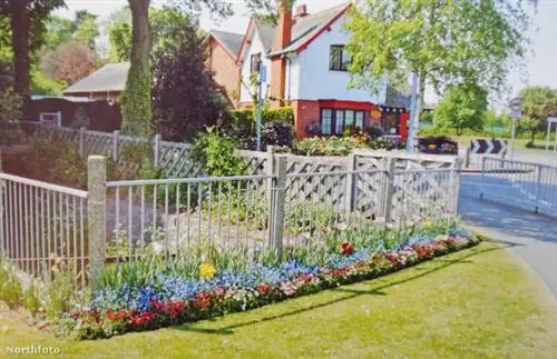 tk3s нти гарри кук 028