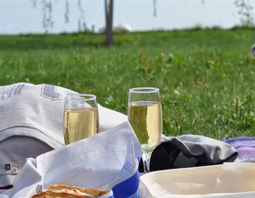 пикник 03