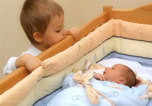 жалюзи 11121067