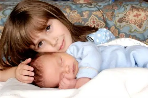 затвор 13175815