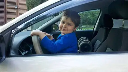 954634 10201300657386879 1178943570 н