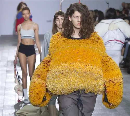 Это сделало Мао Усами молодым дизайнером года