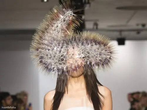 Гусеница Майко Такэда