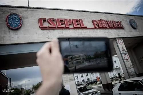 Прямая дорога к гибели