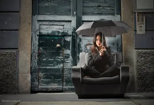 жалюзи 31111555