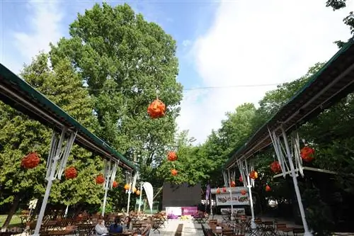 Гордитесь собой, много хороших программ на лето