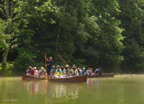 затвор 5536498