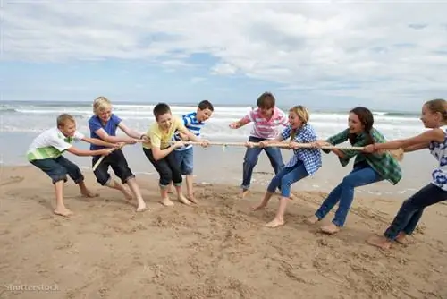 жалюзи 77605315