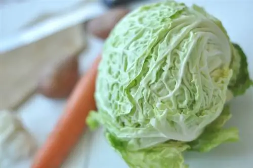 Франкфурт 03