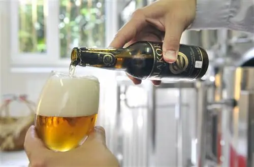 Поступило первое венгерское органическое пиво