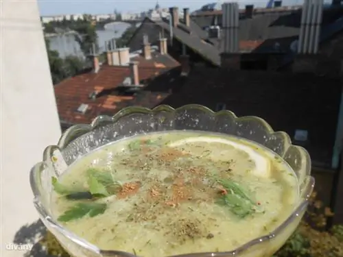 Ледяной суп из квашеной капусты