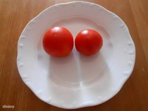 995412 10151799129301289 46275447 нет