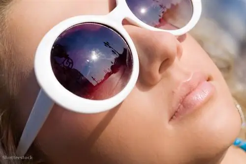 затвор 18077626