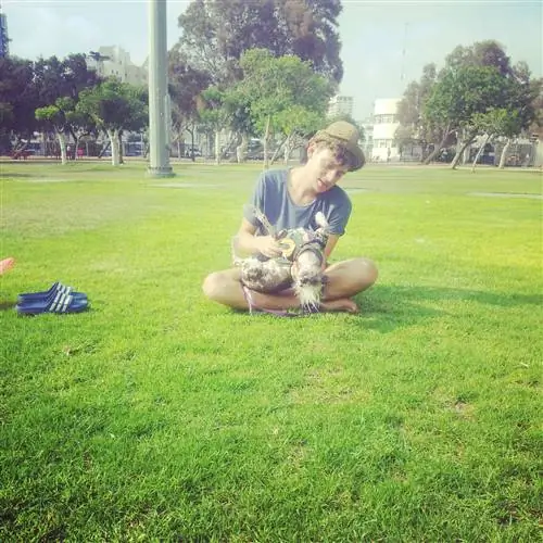 10 вопросов, которые нельзя задавать собакам