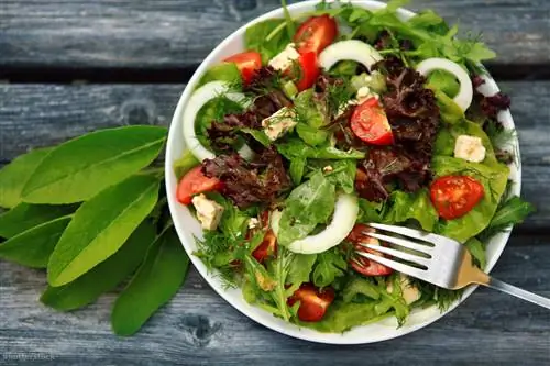 Экономьте до двадцати тысяч в месяц со специальными предложениями