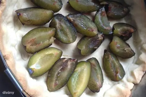 сливово-лимонный пирог 0