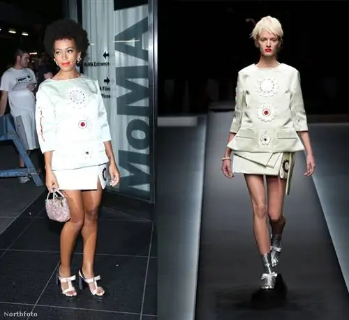 Соланж Ноулз выбрала из Prada