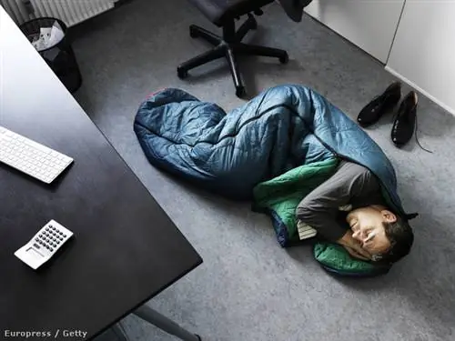 Для вашего босса также лучше, если вы спите днем