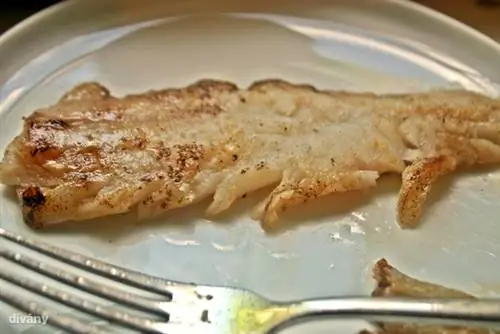 Это ни в коем случае не история успеха