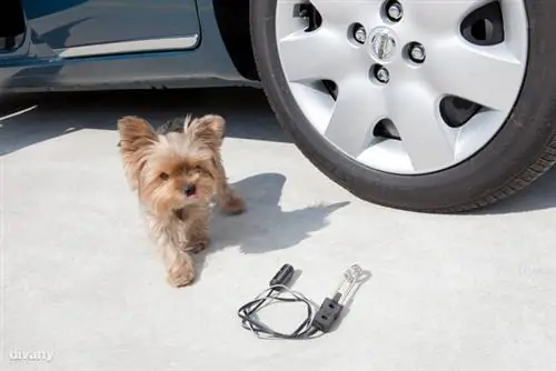 Автомобильные гаджеты, облегчающие жизнь