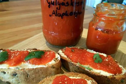 Сливки для гуляша в домашних условиях без консервантов