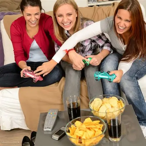 затвор 133967588