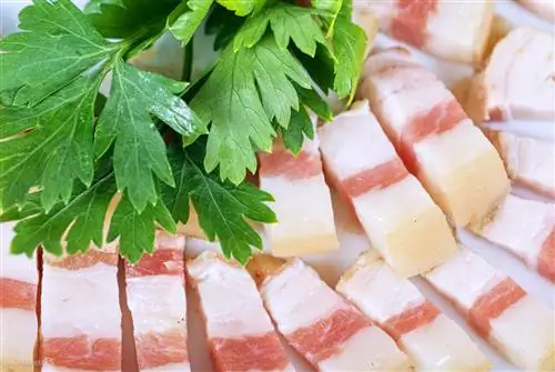 Ожирение и болезни – конец низкожировой диеты