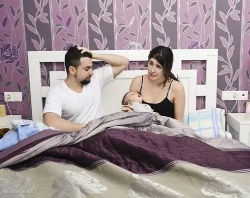 жалюзи 136010909