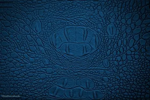 жалюзи 116400961