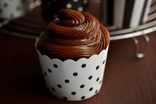 KaramCupcake3 новый