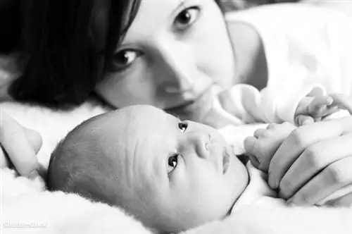 жалюзи 127588067