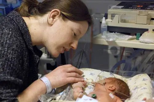 жалюзи 32776099