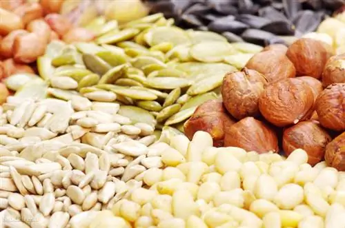 Stockfresh 1728902 семечки и орехи sizeM