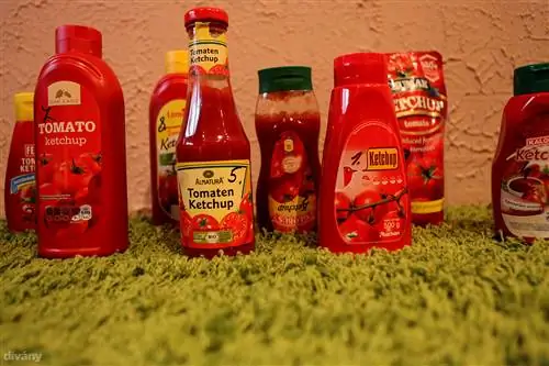 38 - это «случайно веганский» продукт, доступный повсюду