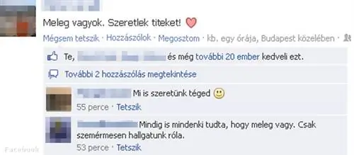 Публикация в Facebook больше не опасна и для венгров