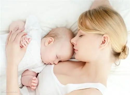 жалюзи 133832000