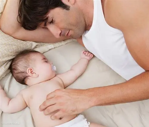 жалюзи 151497236