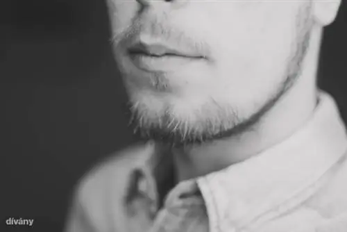 Вот на сколько у меня выросли волосы на лице за месяц