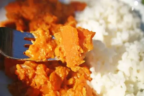 морковь чечевица1