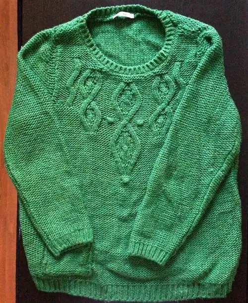 Я купил толстовку в комиссионном магазине за 500 форинтов