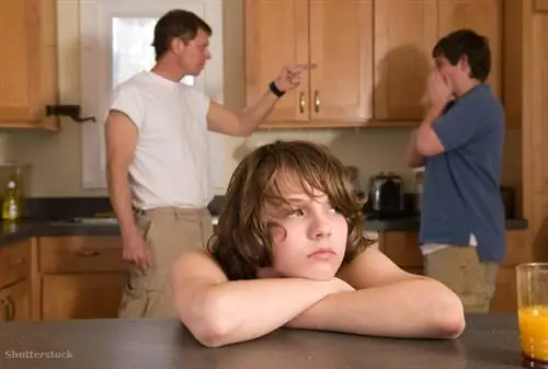 жалюзи 124213339