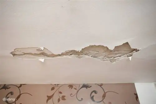 02-petilakasa-131202-IMG 1316