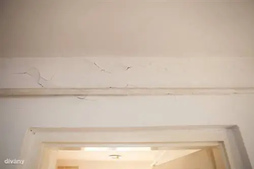 06-петилакаса-131202-IMG 1320