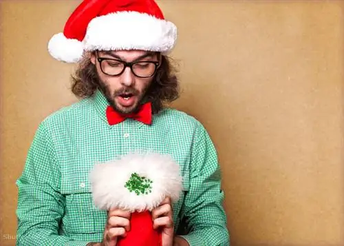 затвор 161543387