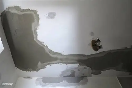 Фото: Золтан Ваник / Dívány