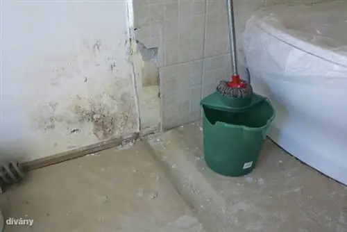 Фото: Золтан Ваник / Dívány