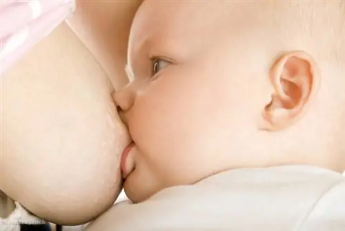 жалюзи 51903262